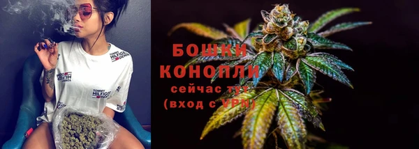 ECSTASY Белокуриха