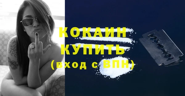 ECSTASY Белокуриха