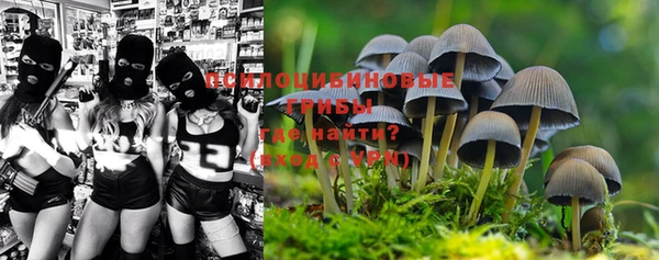 ECSTASY Белокуриха